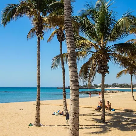 Casa Juana A 50 Metros La Playa Del Reducto Y Wifi Free 아리시페